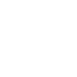 Pitstop Logo